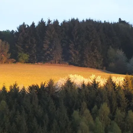 Lägenhet Ferienwohnung Begler Virneburg